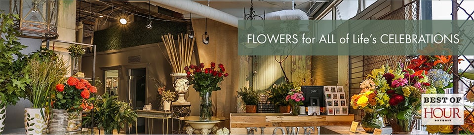 Beautiful Seasonal Flowers Banner